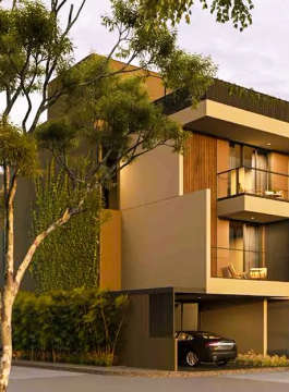 arvind-forest trails