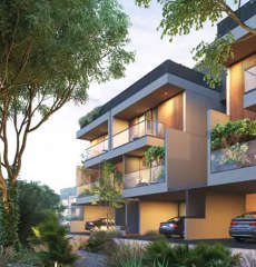 arvind-forest trails