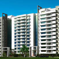 purva-atria platina