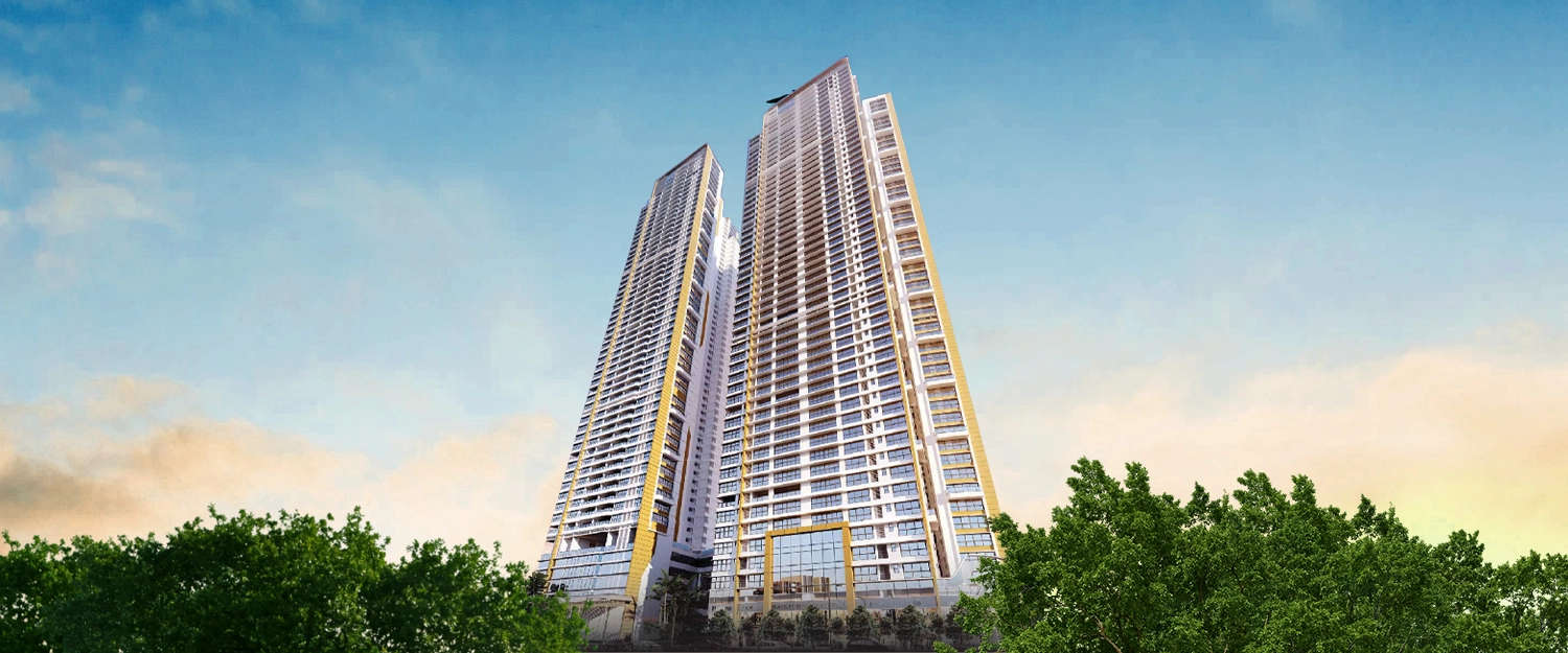 Elevation Image