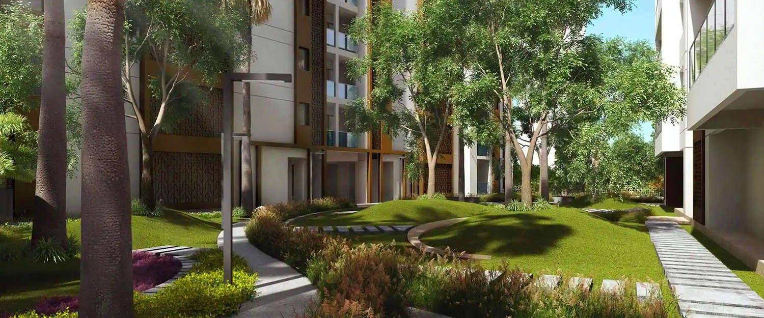 Outdoor Amenities