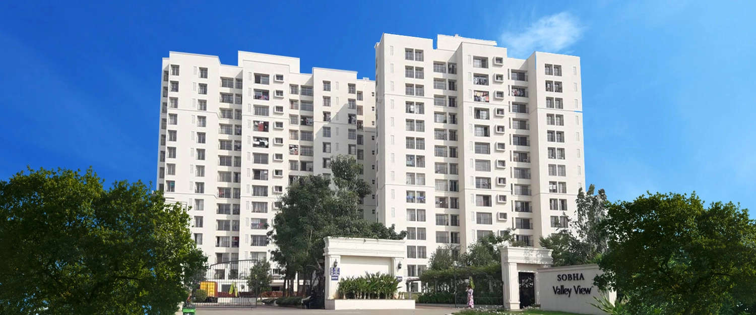Elevation Image