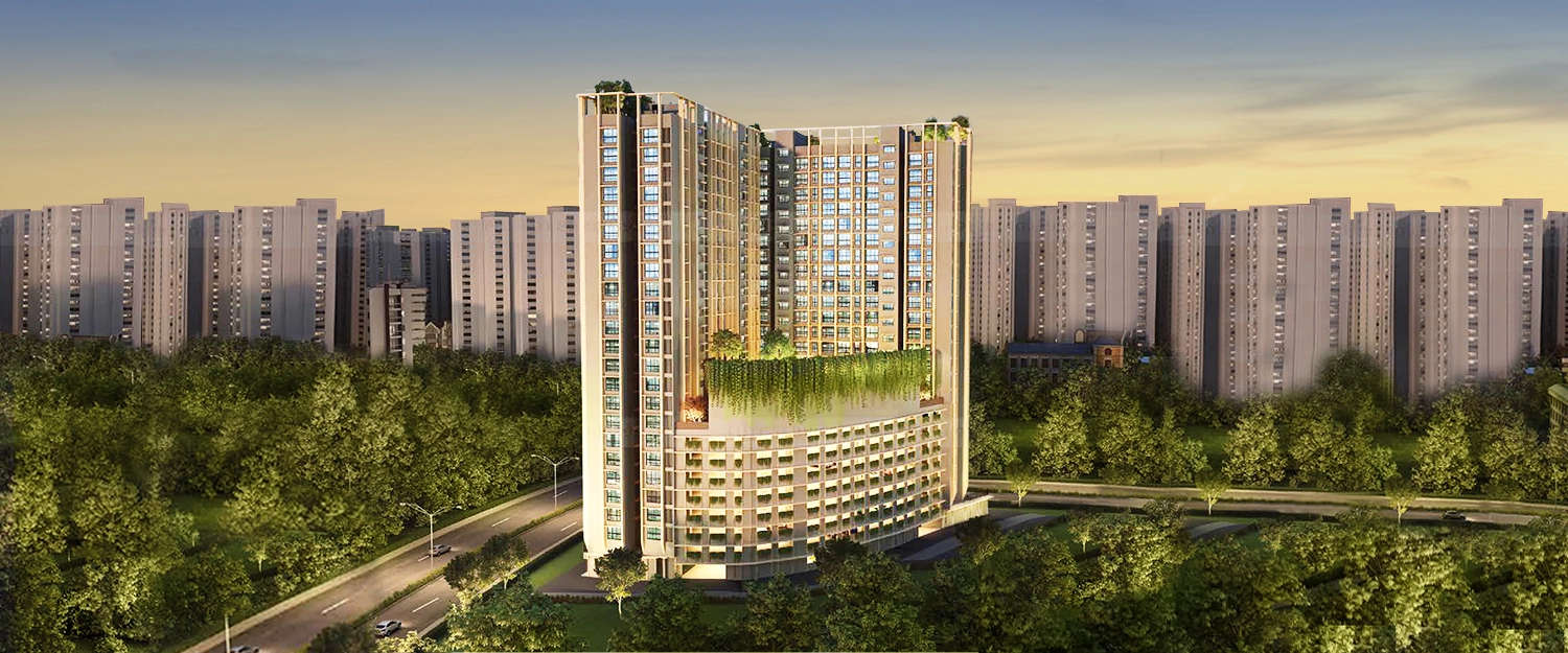 Elevation Image