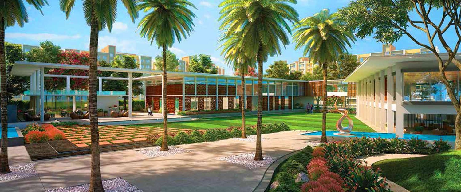 Outdoor Amenities