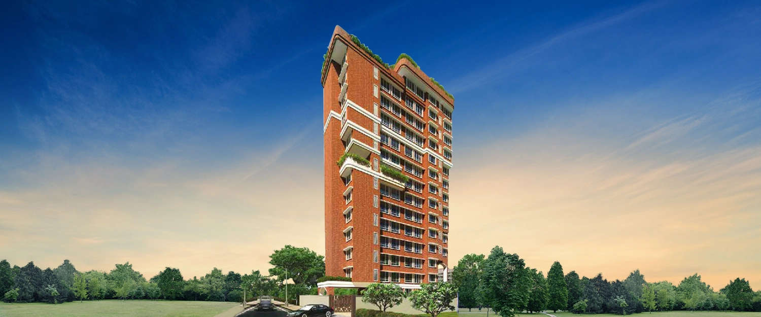 Elevation Image
