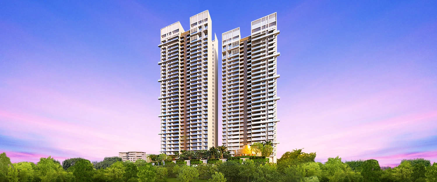 Elevation Image