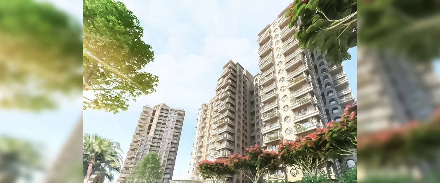 Elevation Image