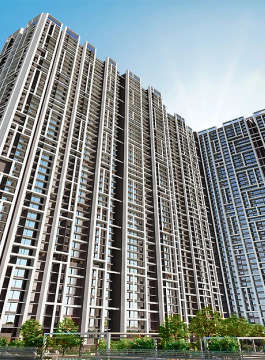 the-exclusif selection