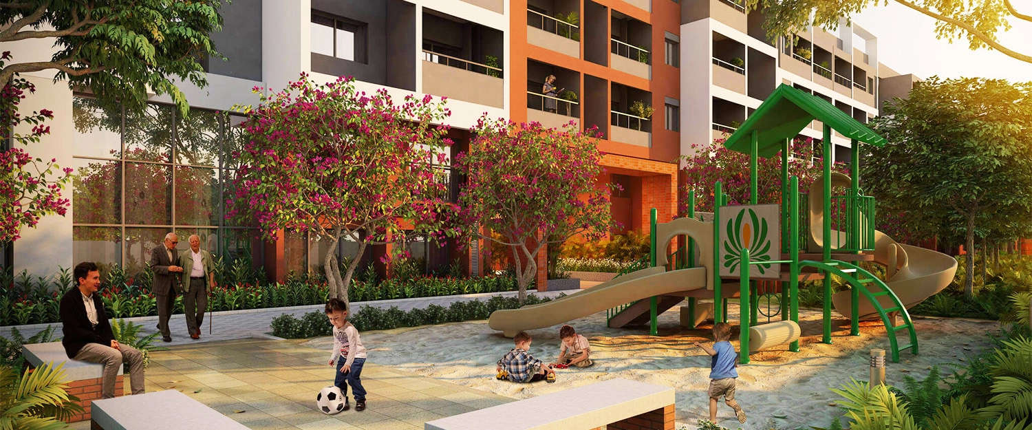 Play Area