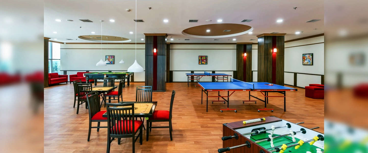 Play Area