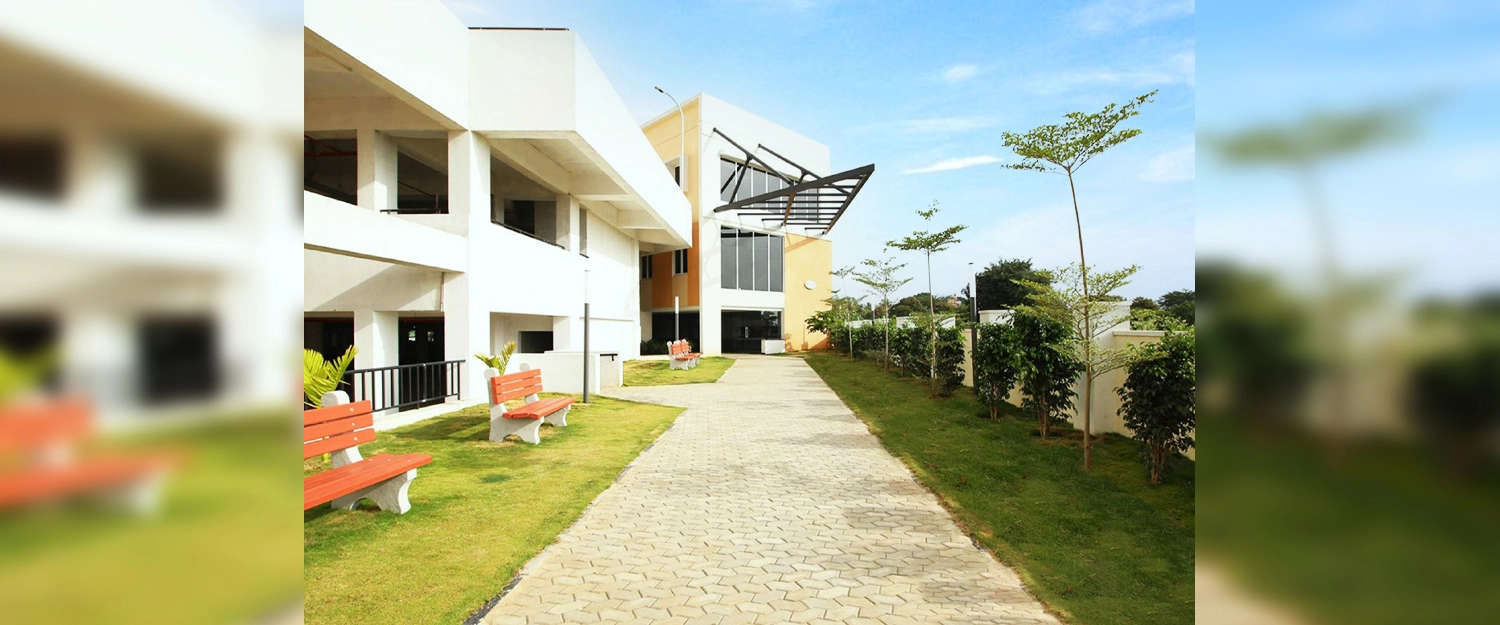 Outdoor Amenities
