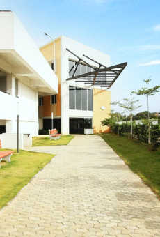 Provident Vriksha