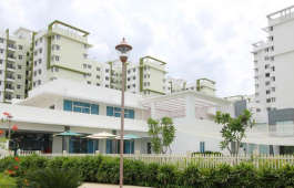 provident-rays of dawn