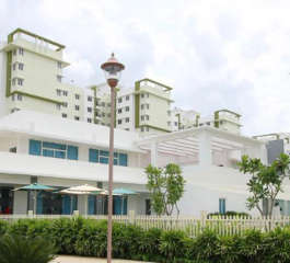 provident-rays of dawn