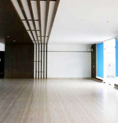 provident-rays of dawn