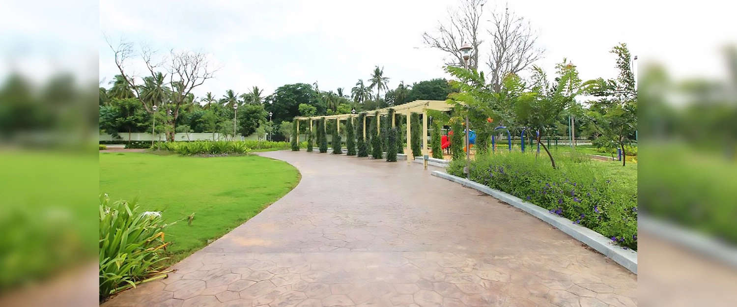 Outdoor Amenities