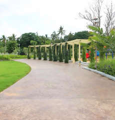 provident-rays of dawn