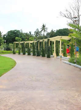 provident-rays of dawn