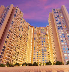 marathon-nexzone bodhi