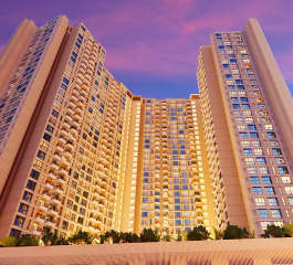 marathon-nexzone bodhi