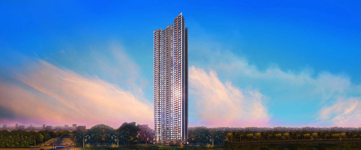 Elevation Image