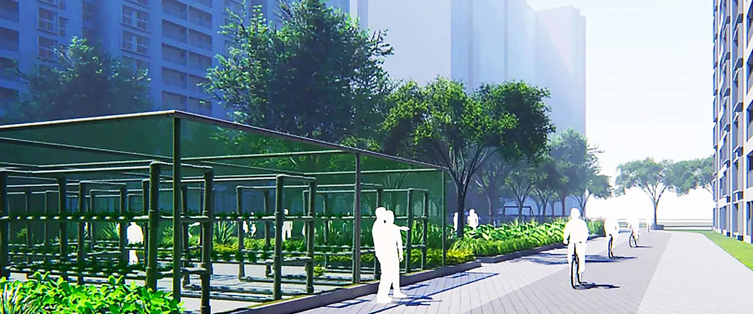 Outdoor Amenities