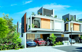 merusri-sunlit grove