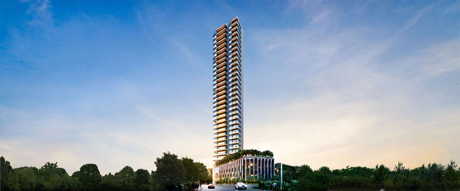 Elevation Image