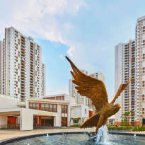 prestige-falcon city