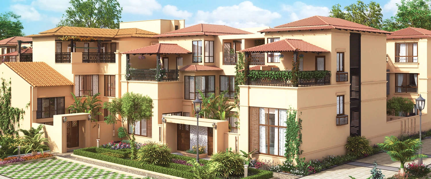 Elevation Image