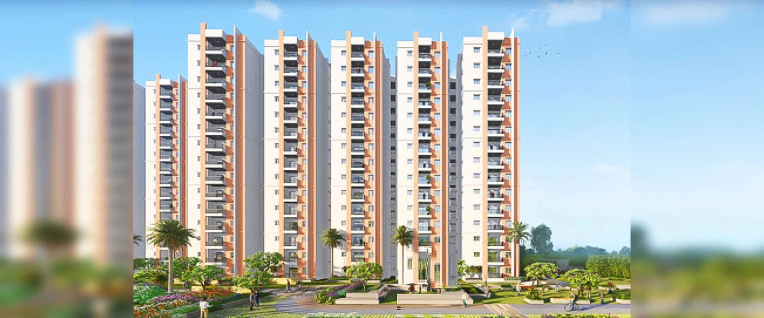 Outdoor Amenities