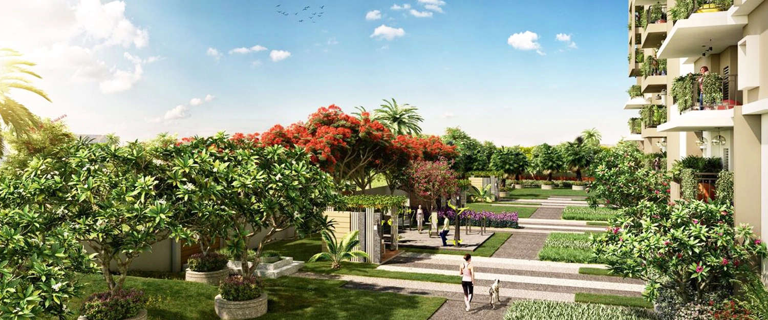 Outdoor Amenities