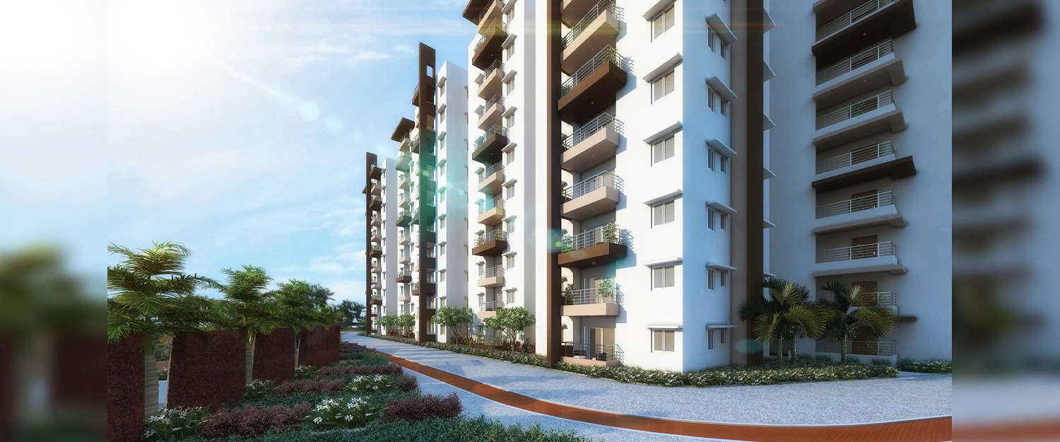 Elevation Image