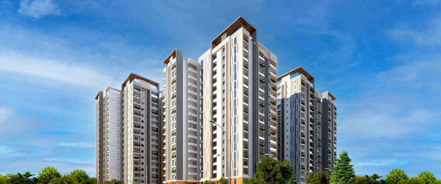 Elevation Image