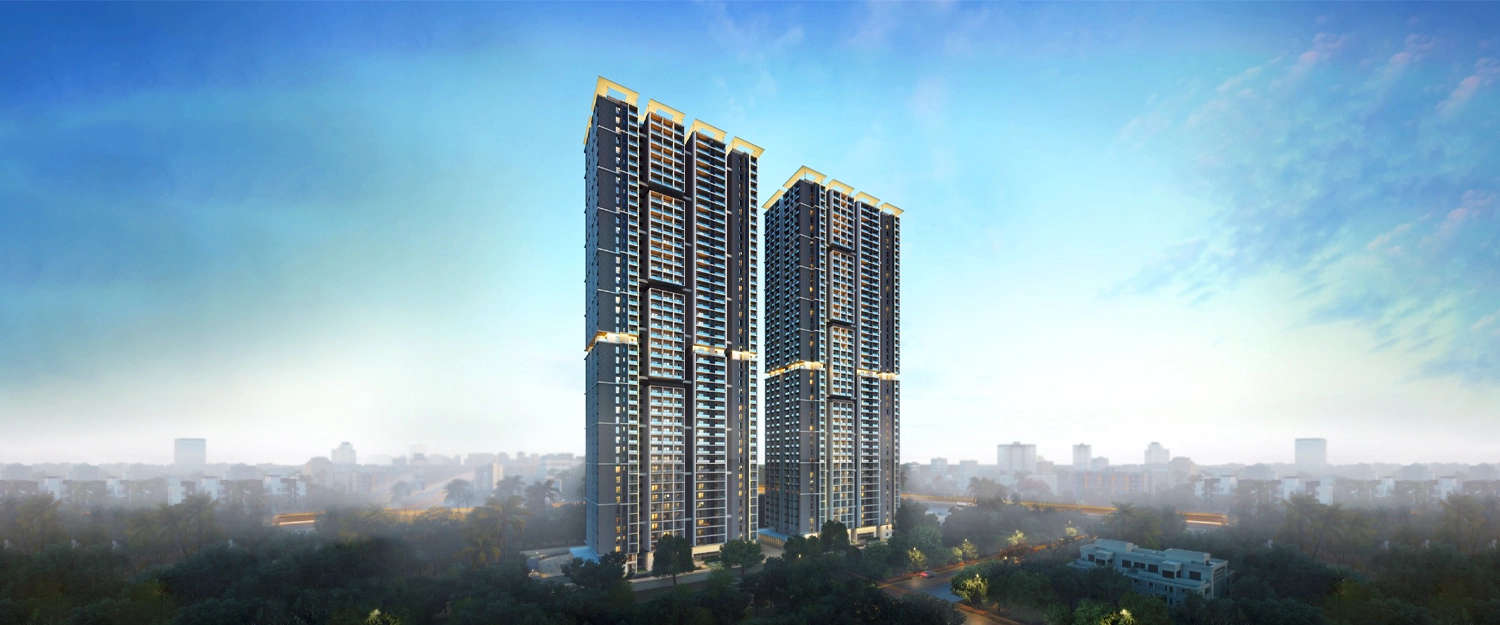 Elevation Image