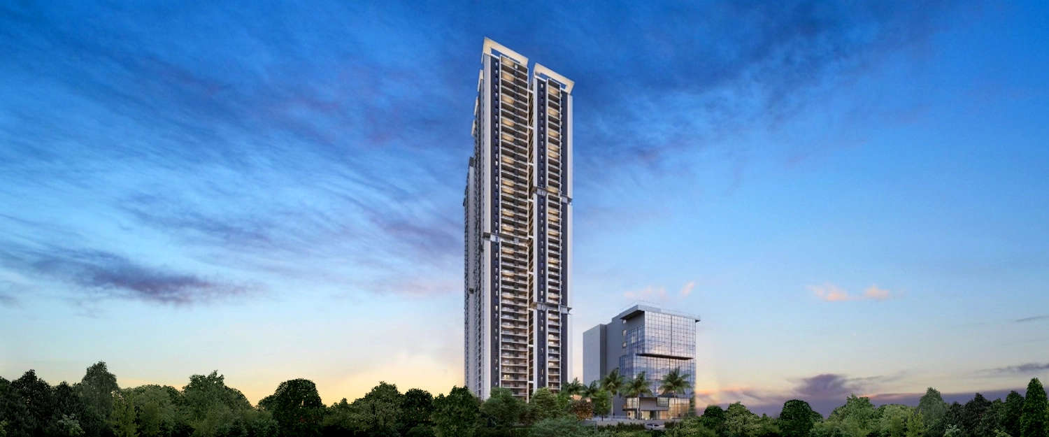 Elevation Image