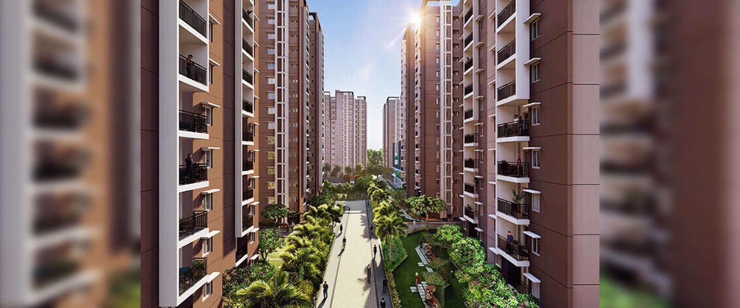 Outdoor Amenities