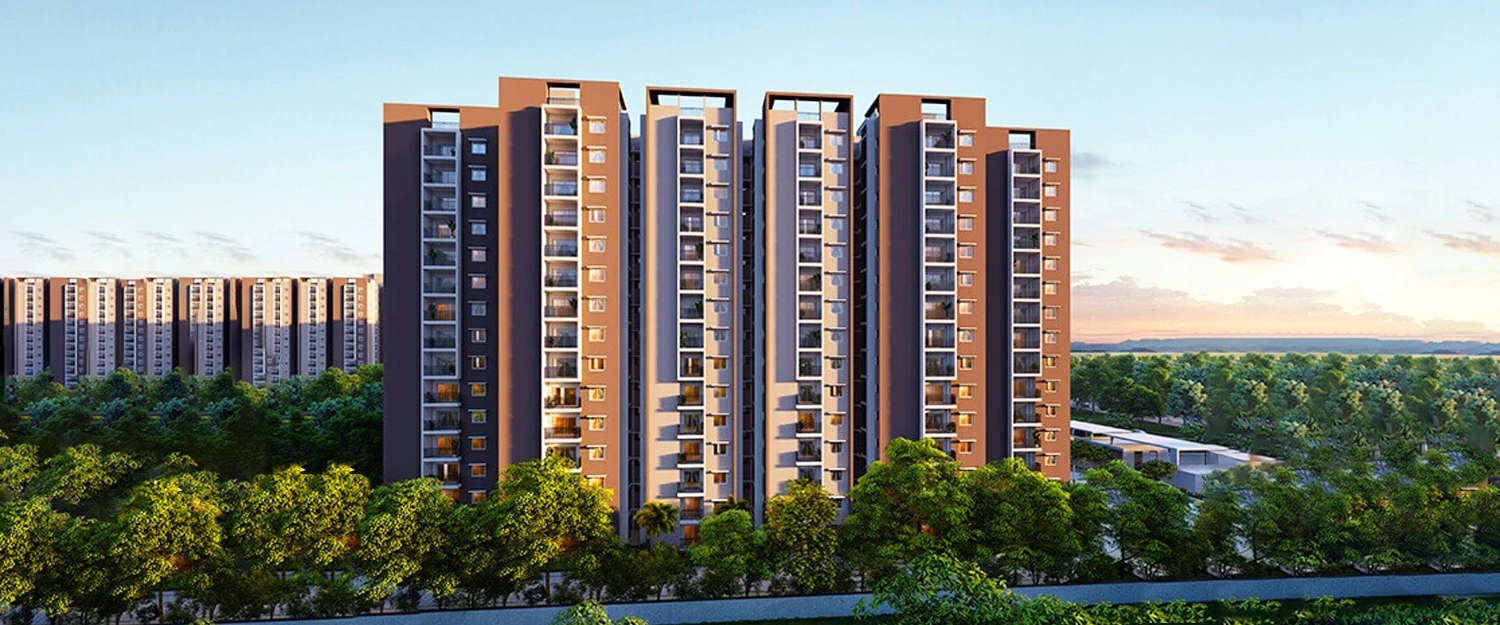 Elevation Image