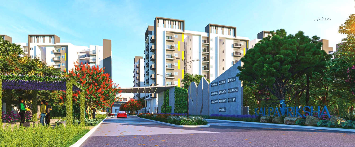Project Entrance View