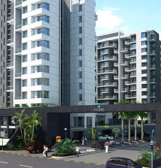 paranjape-azure aster