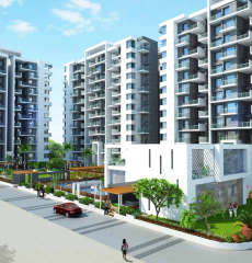 paranjape-azure aster