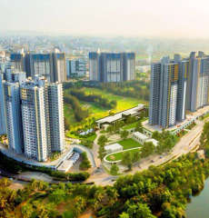 paranjape-schemes blue ridge