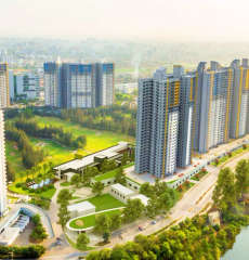 paranjape-schemes blue ridge