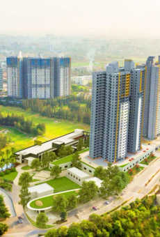 Paranjape Schemes Blue Ridge
