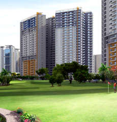 paranjape-schemes blue ridge