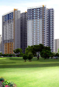 Paranjape Schemes Blue Ridge