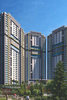 Paranjape Schemes Orion
