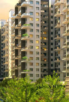 Paranjape Schemes Abhiruchi Parisar