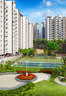 paranjape-schemes happiness hub varve