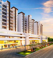 paranjape-schemes happiness hub varve